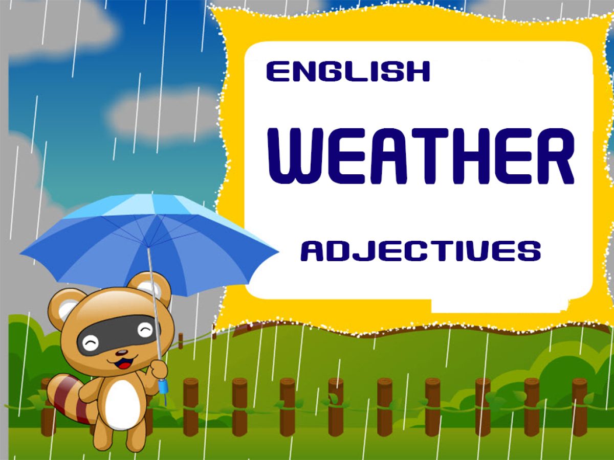 The English Weather spill cover